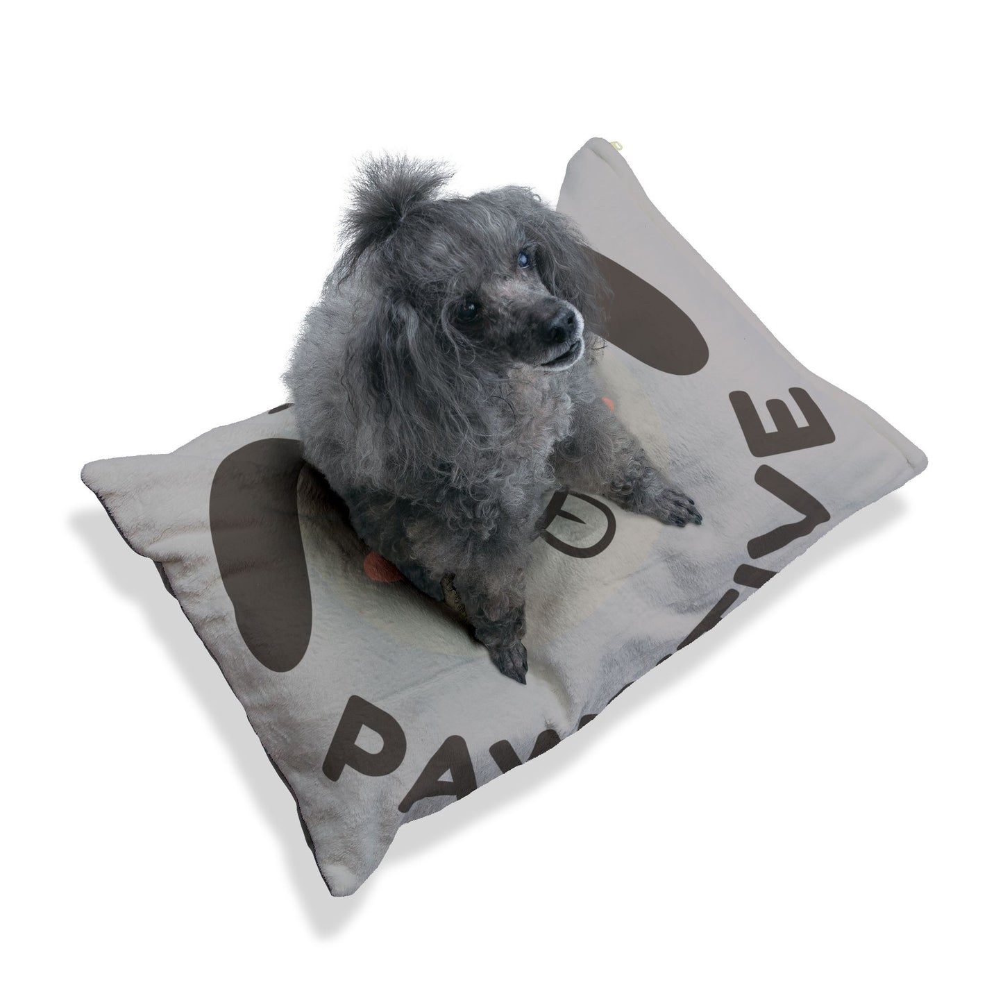 Stay Pawsitive Pet Bed - Cozy Dog Bed with Playful Puppy Design