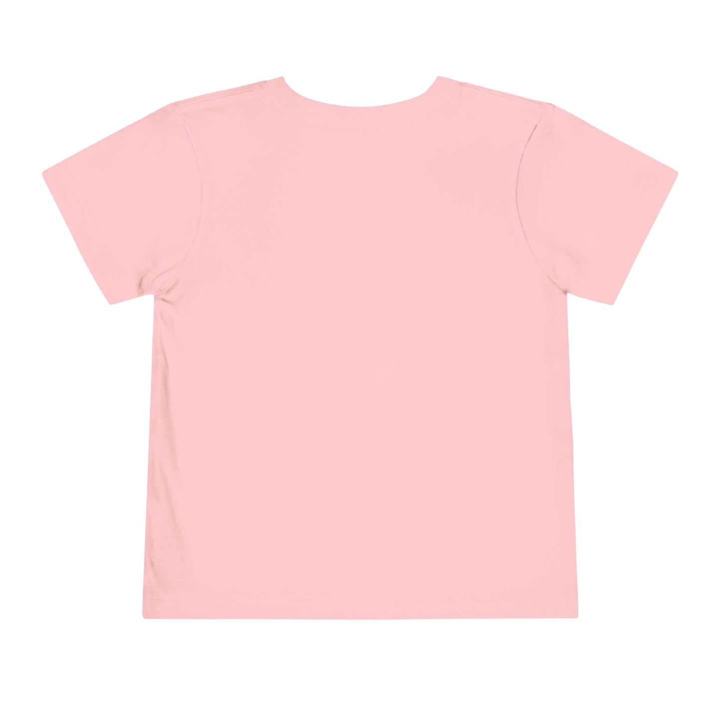 Toddler Tee - My Little Rainbow Shirt