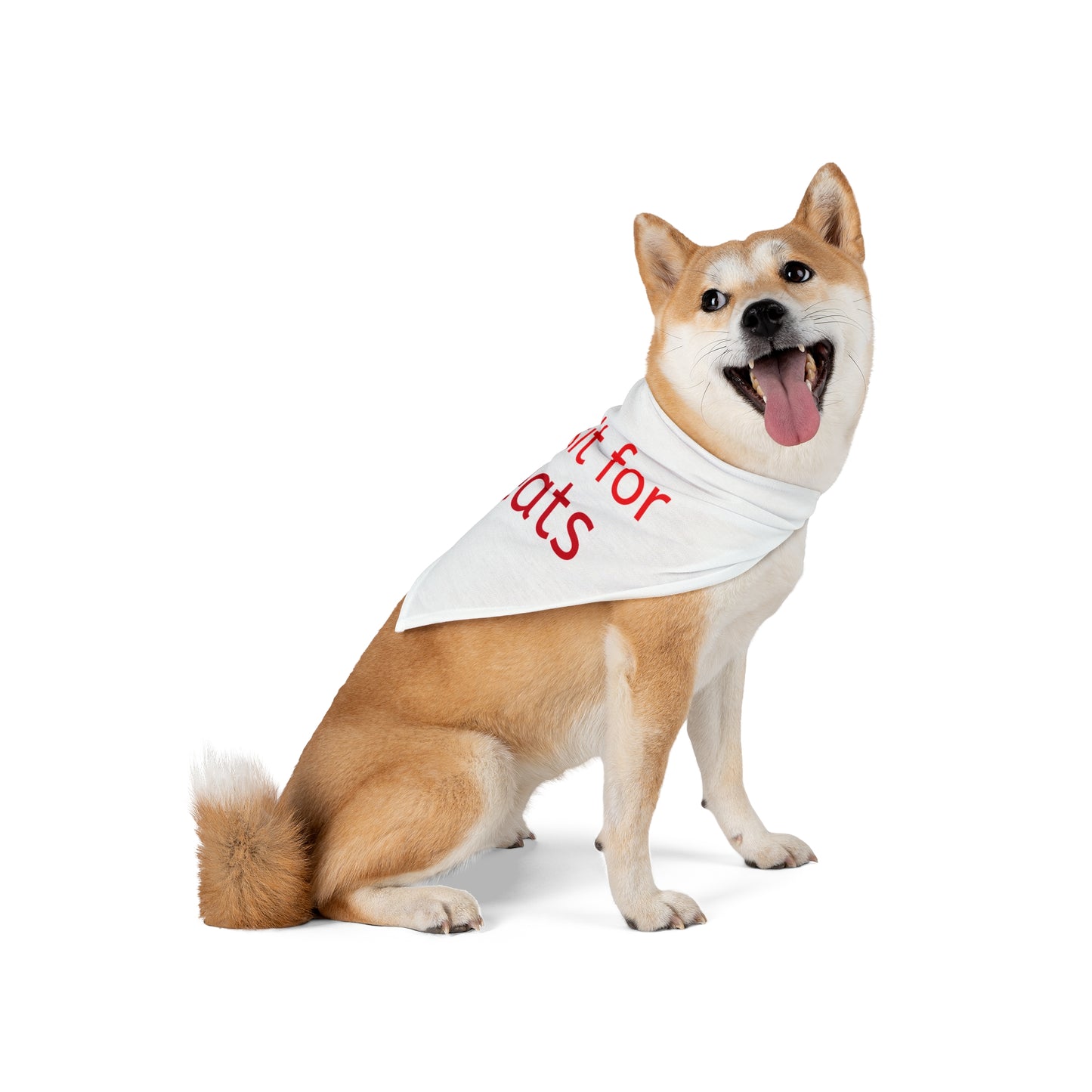 Cute Pet Bandana - "Will Sit for Treats" - Perfect for Dog Lovers and Pet Gifts