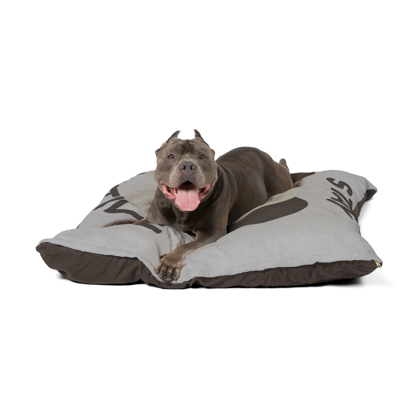 Stay Pawsitive Pet Bed - Cozy Dog Bed with Playful Puppy Design