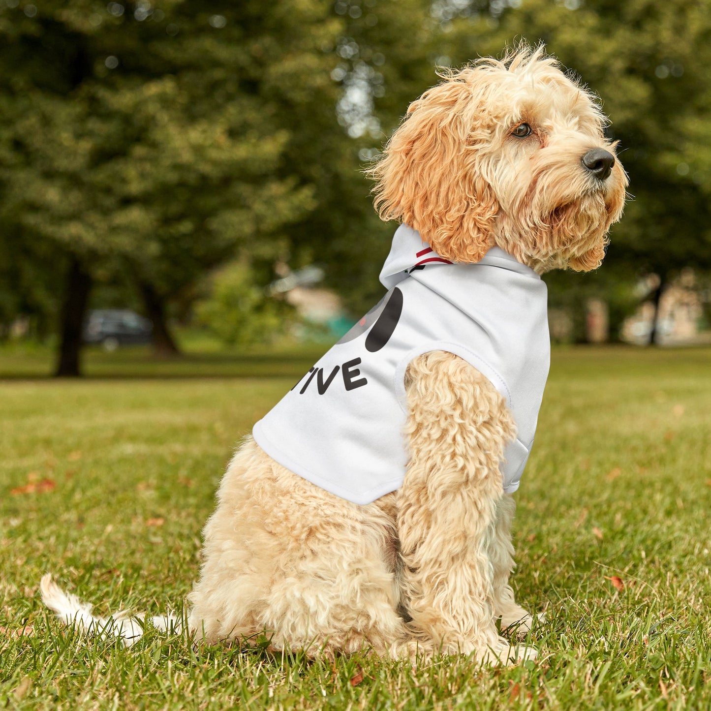 Funny Stay Pawsitive Pet Hoodie - Cute Dog Apparel for Small Breeds