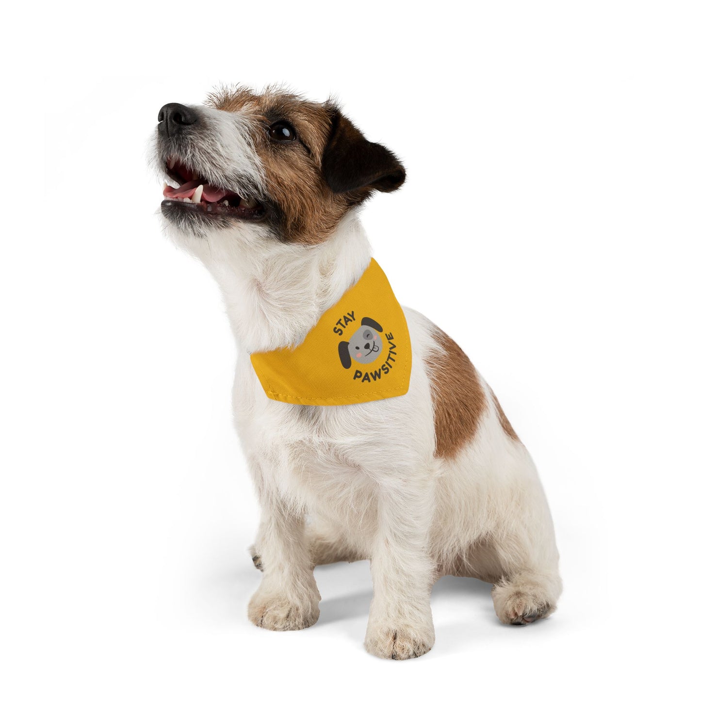 Stay Pawsitive Pet Bandana Collar